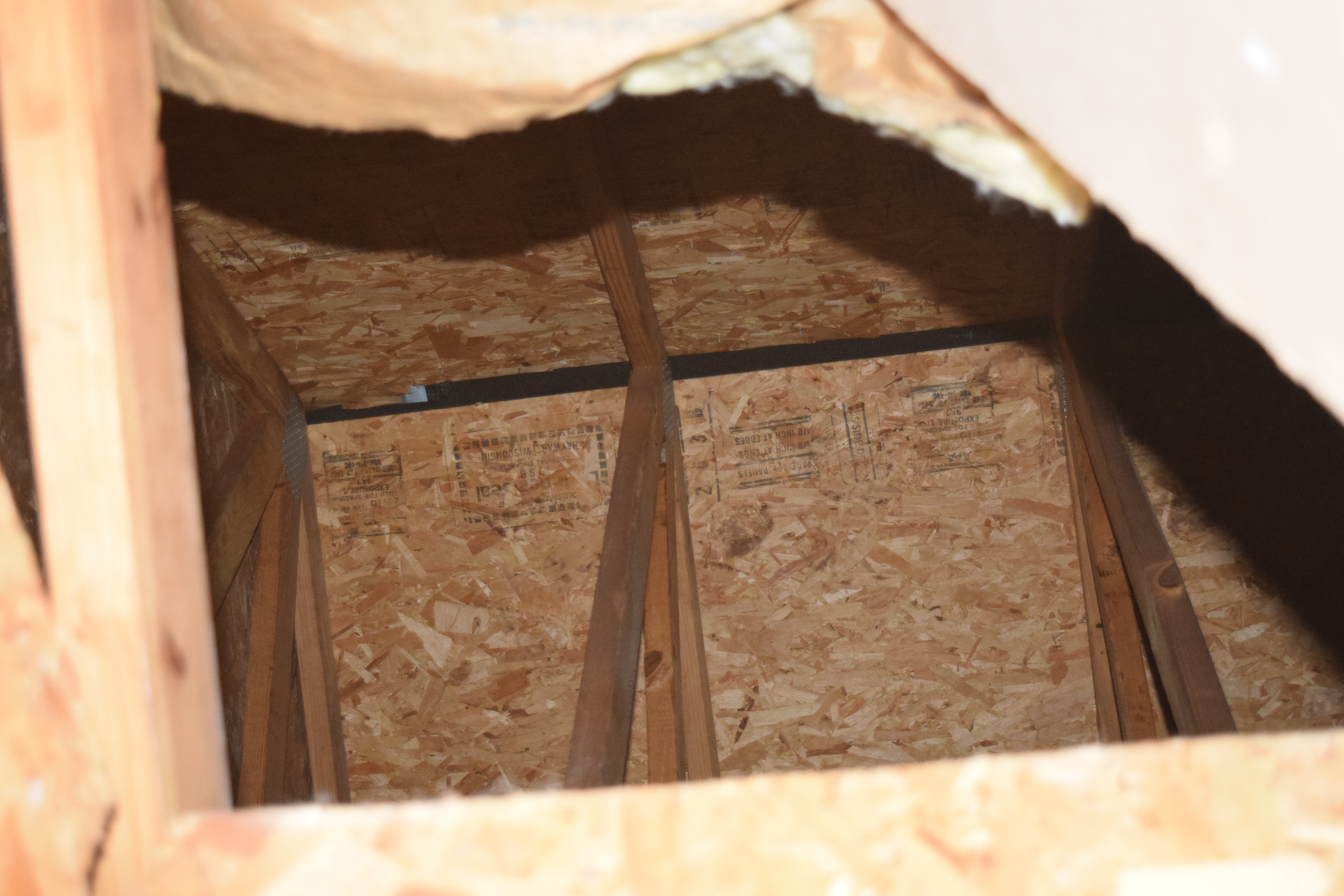 Attic Interior - Interior view showing roof decking condition and structural framing