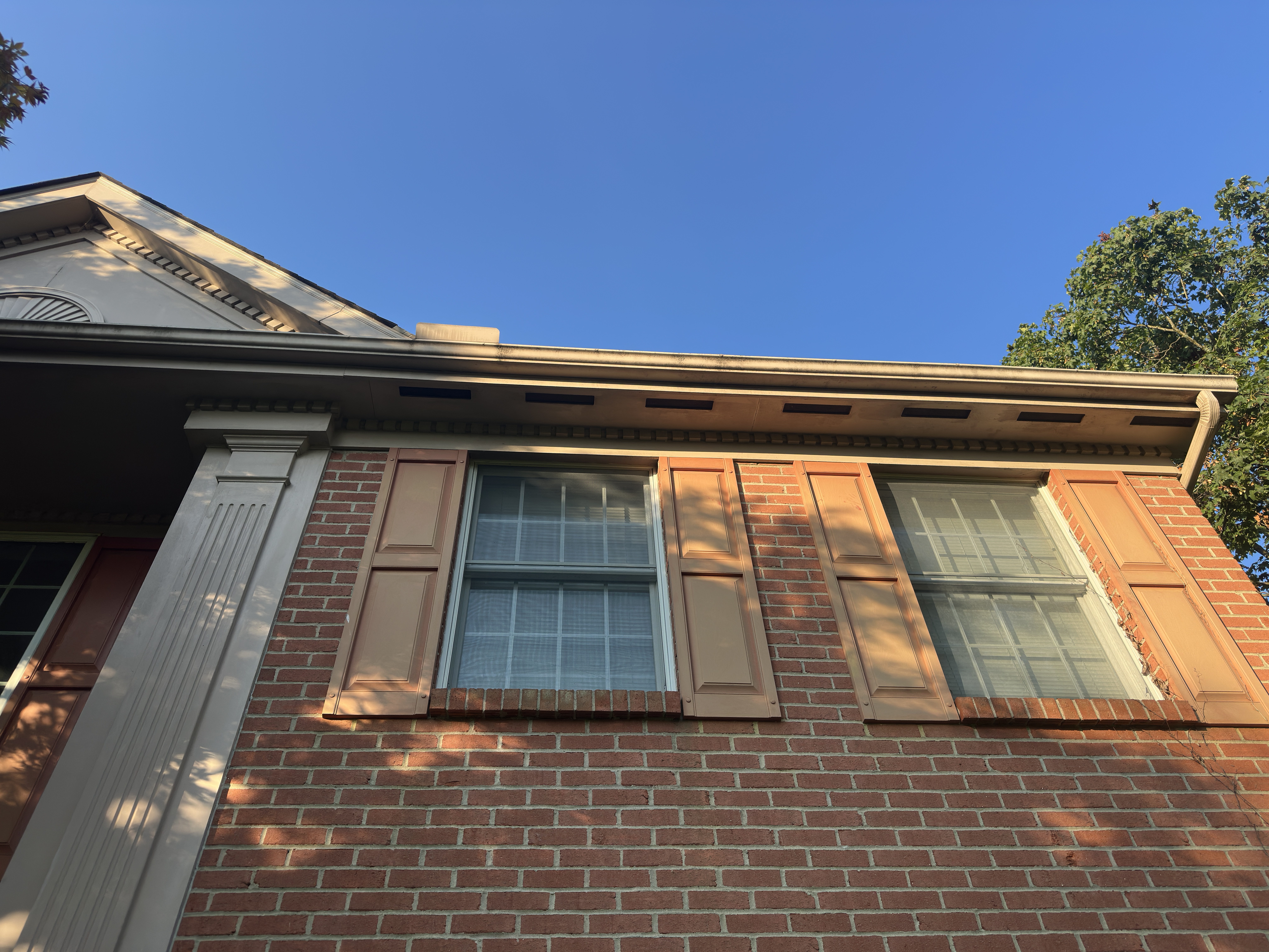 Gutter System - East elevation showing gutter condition and roofline details